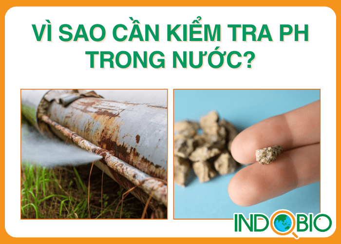 Vì sao cần kiểm tra độ pH trong nước sinh hoạt?